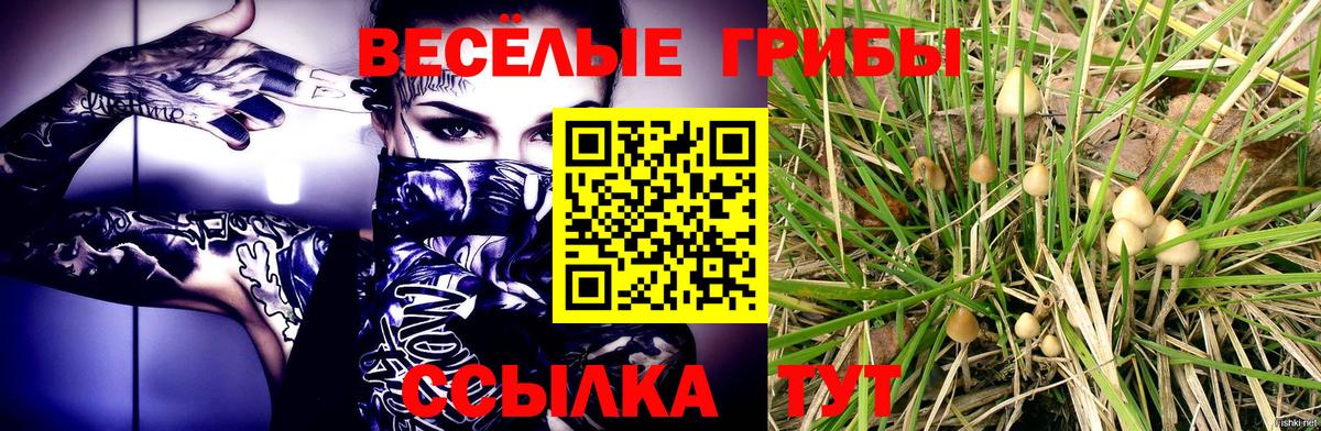 Псилоцибиновые грибы MAGIC MUSHROOMS Назрань