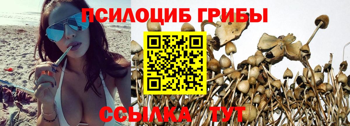 Назрань  Псилоцибиновые грибы мицелий  наркошоп  Галлюциногенные грибы Cubensis  Вход с VPN 